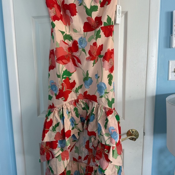 TUCKERNUCK Hyacinth House Red Multi Floral Strapless Malory Dress NWT XL - Picture 6 of 10